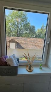 Appartement Nähe Zentrum Steyr