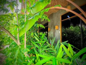 The Ohm Siargao Resort