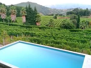 Casa das Feitorias Douro Valley - Calvos