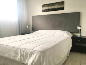 Conveniente ubicación en zona muy silenciosa Apt 3