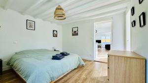 Le duplex dOpale