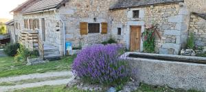 Maisons d'hotes La Cantalienne du Saladou : photos des chambres
