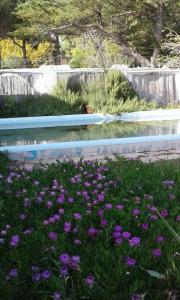 Rosi Sweet Home img7