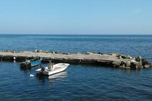 Rosi Sweet Home img28