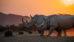 Ugab Game Farm & Lodge - Konob Pos