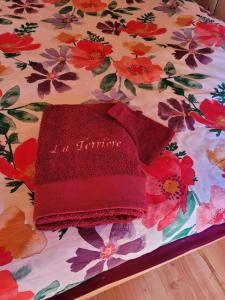 Maisons d'hotes Gite et Tiny de La Terriere -Dordogne en Perigord : photos des chambres