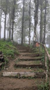 The Pride Homestay