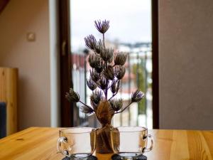 Villa Taternik - 3 Bedrooms Apartment - Mountain View