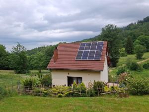 Ranczo Spełnionych Marzeń