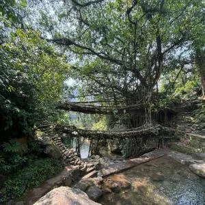 Odyssey Stays Nongriat - 3Kms trek from Main Road - Mawsynrām