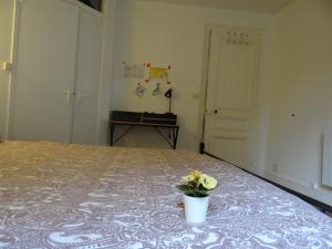 Appartements Appartement lumineux au centre de dieppe, calme et confortable : photos des chambres
