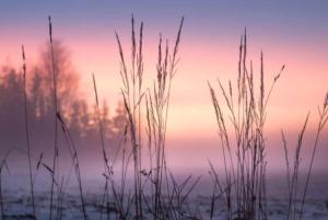 Boutique Chalet Putten op de Veluwe