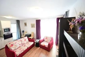 FLH - Apartament Kathy Sibiu - Turnişor