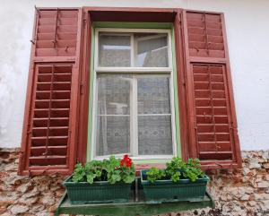 Casa Mia Camera Verde