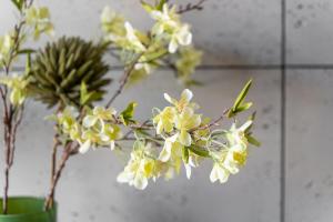 Park Apartment Old Town by Noclegi Renters