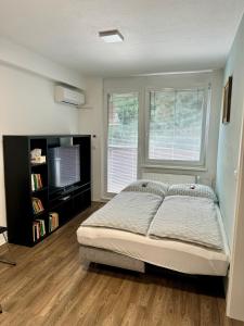 Všemina apartmán 31