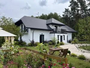 Leśne Zacisze Sochy - Aleksandrów