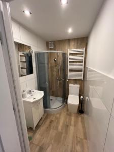 Leśne Zacisze Sochy