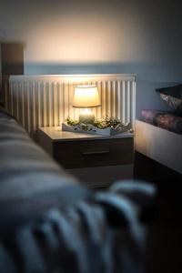 Leśne Zacisze Sochy