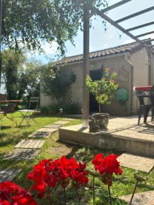 Appartements STUDIO EN AUVERGNE Le ruisseau : photos des chambres