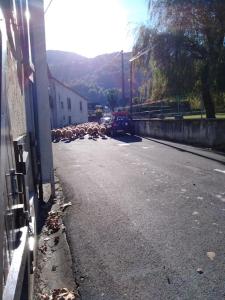 Maisons de vacances Maison de montagne, vallee d-Ossau : photos des chambres