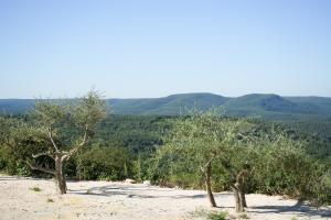Maison darchitecte vue panoramique piscine miroir