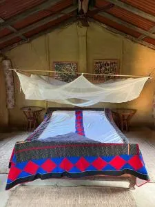 Bardia dolphin home - Neta