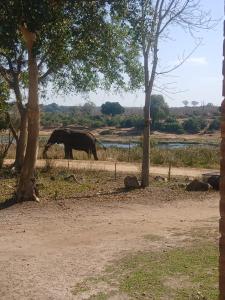 Tswenyane Kruger Riverview Apartments