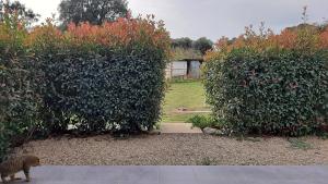 Appartements Residences du Monde : photos des chambres