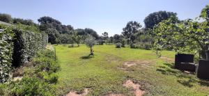 Appartements Residences du Monde : photos des chambres