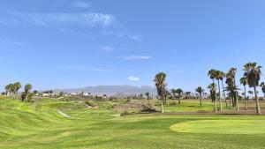 Fairways Club - TEIDE VIEW OASIS - heated pool, family apt