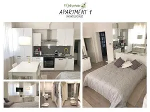 Appartamento Il Gelsomino - 卡斯特莱奥内