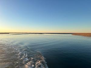 Cabañas La Enriqueta