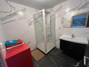 Appartements Appartement prive et lumineux en centre-ville, a Oyonnax, proche des lacs : Appartement 1 Chambre
