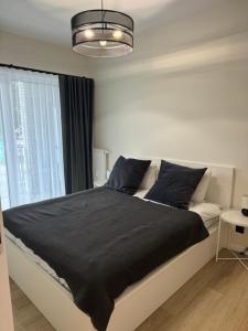 Apartament Moniuszki