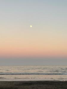 Gladiolos San Agustin Beach