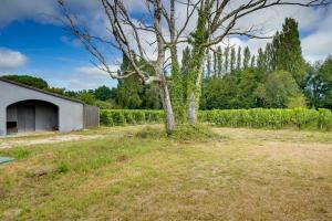 Maisons de vacances Maison neuve a proximite immediate de St Emilion : photos des chambres