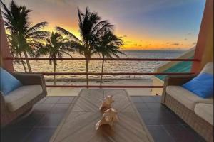Belize Beachfront Apartment