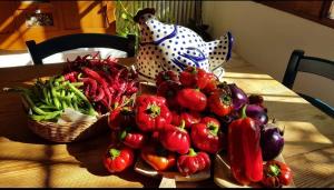 Il giardino di FraFa img23