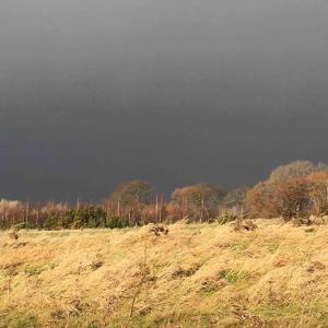 Strandgården på Skarø med færge fra Svendborg