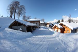 Chalets Le Grepon, Piscine et Aire de jeux : photos des chambres