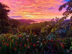 Casita Carolina - Nuevo Colón