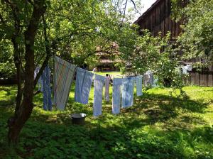 Historický zemědělský dvůr Kladeruby