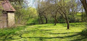 Historický zemědělský dvůr Kladeruby