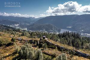 Birdbox Storehesten
