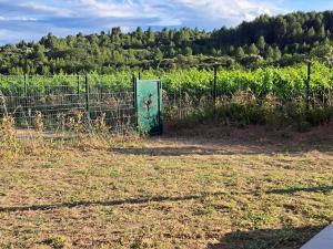 Appartements super appart au coeur des vignes : photos des chambres
