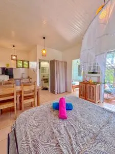 Les villas métissées, T2 et studios avec terrasse - Guinée-Fleury