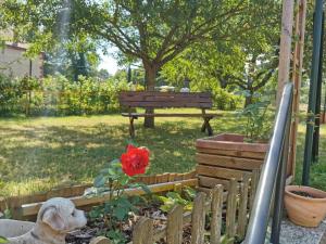 Appartement en Rez-de-chaussée