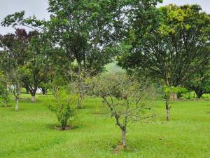 Sítio Gramado Sarapuí, lazer, conforto e diversão