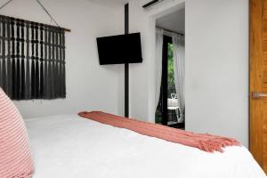 Private Rooftop Pool - Bike to Ruins or Beach